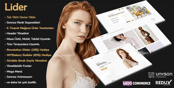 Lider - WordPress Portföy | Ajans Tasarım Teması